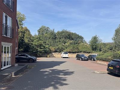 Picture 20